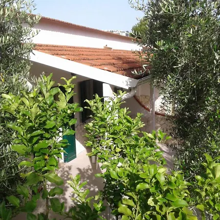 Apartman Nico's Flats Peschici